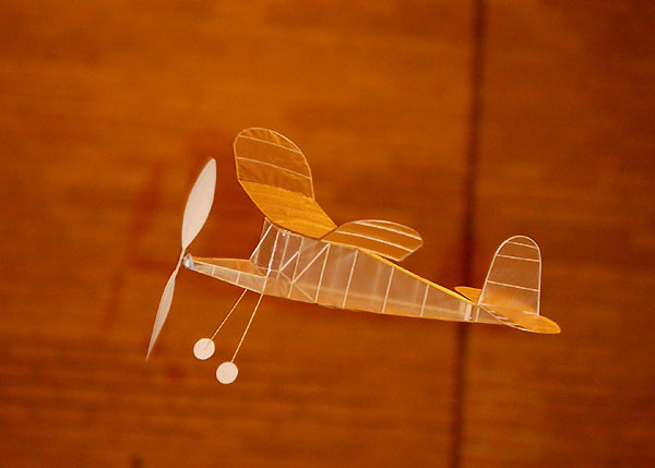 Pete's 'Platypuss Pete's 'Platypuss