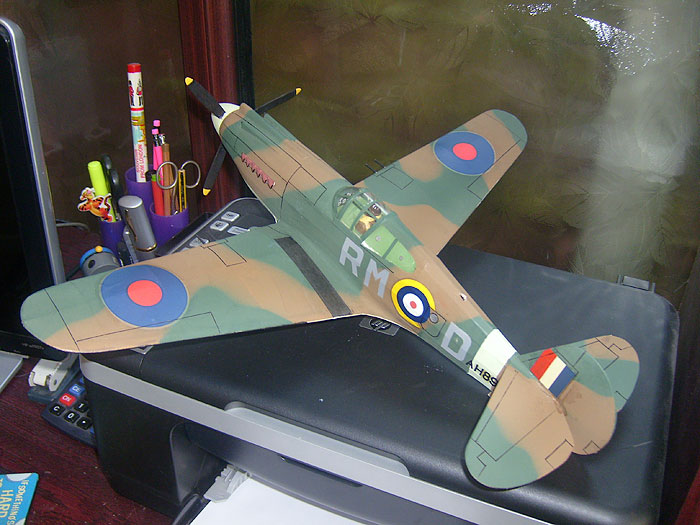 Dave Crompton's P40 Dave Crompton's P40