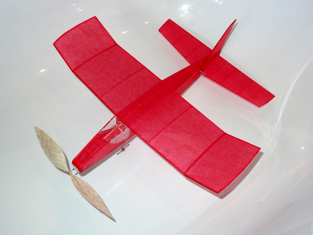 Peter Turners Sueme Legal Eagle Peter Turners Sueme Legal Eagle